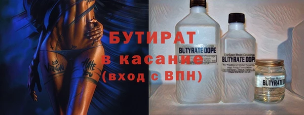 индика Алзамай