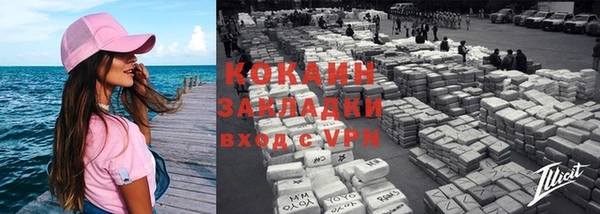индика Алзамай